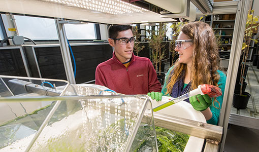 Continue reading about AlgaePrize Student Finalists Announced