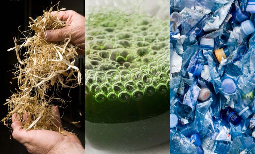 A collage of a corn stover, cyanobacteria in a flask, and plastic bottle waste.