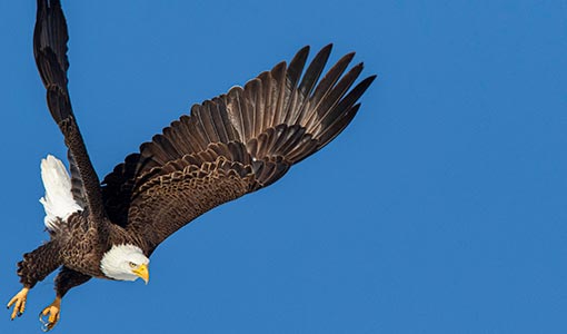 Continue reading about NREL Scientists Dive Into Data in Search of Answers