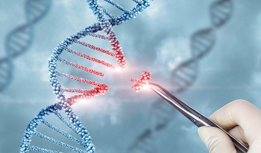 Continue reading about NREL Launches Synthetic Biology Project To Advance Biofuel Discovery Technologies With LanzaTech, Northwestern, and Yale