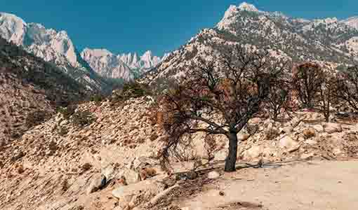 Continue reading about New Model Could Help Break Through Inefficiencies of Common Water Treatment Systems