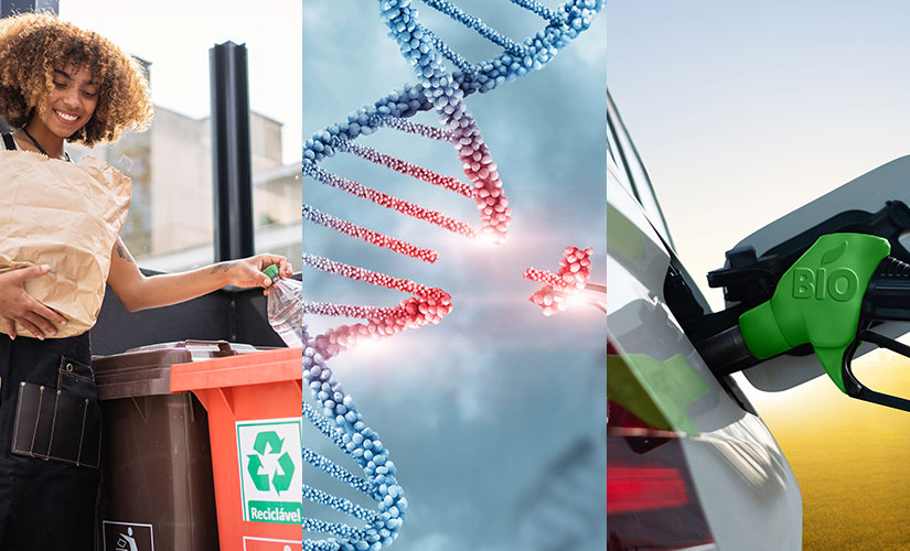 A collage of bioenergy images. 