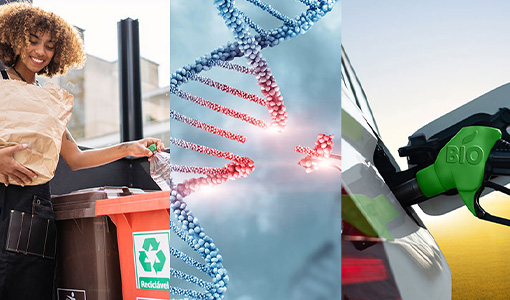 Continue reading about Happy National Bioenergy Day 2023 From NREL