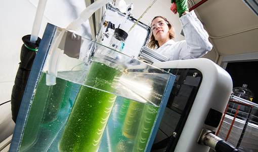 Continue reading about 15 Finalist Teams Announced for AlgaePrize 2023–2025 Competition