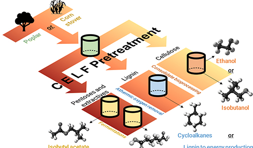 Continue reading about Biorefinery Model Points to Better Method at Producing Co-Products