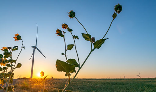 Continue reading about Before You Install Wind Energy Technology, Check Out This Database