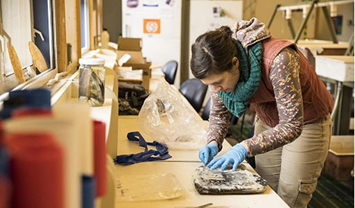 Continue reading about Why You Might Love a Career in Marine Energy