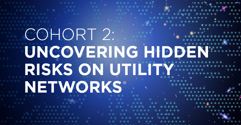 Abstract background with text overlay: Cohort 2 Uncovering Hidden Risks on Utility Networks
