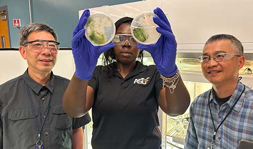 Continue reading about 30-Year Friendship Finds a Research Home Through Department of Energy's Visiting Faculty Program