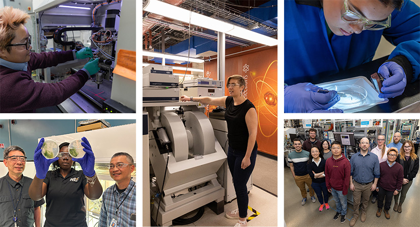 Five images depicting bioenergy research at NREL.