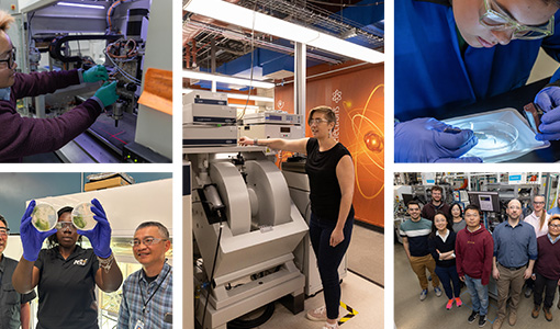 Continue reading about Celebrating Bioenergy Day 2024 With a Research Retrospective