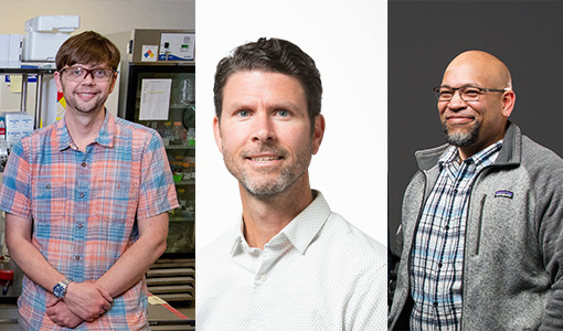 Continue reading about 6 NREL Researchers Named to Global Highly Cited List