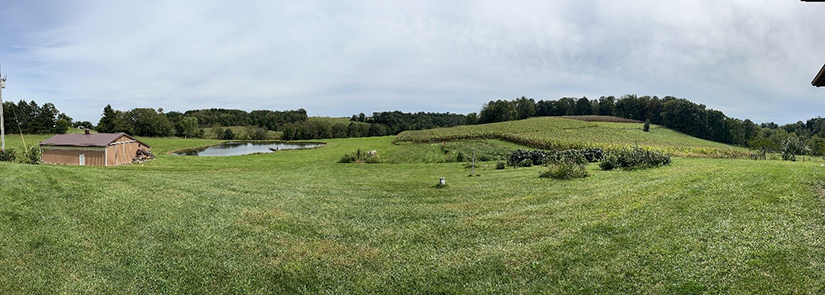 Panoramic view of a grassy farm.