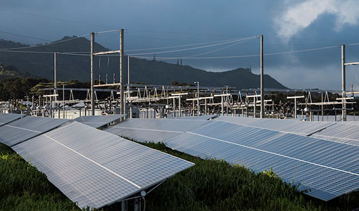 Continue reading about How Extreme Weather and System Aging Affect the US Photovoltaic Fleet