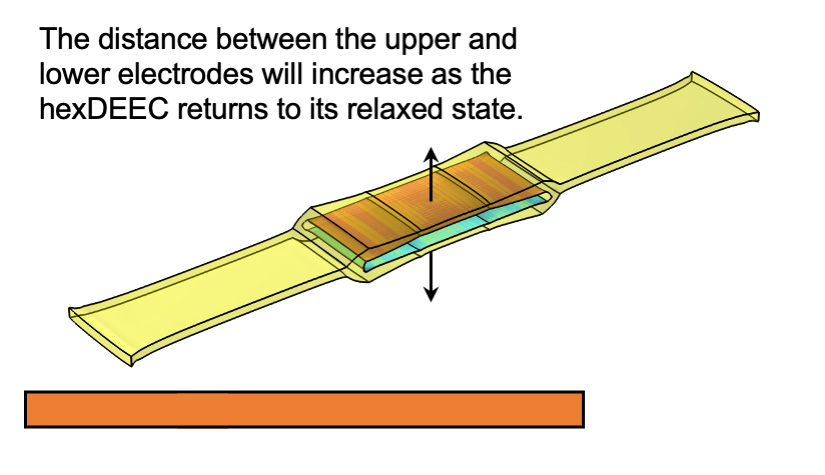 A flattened hexDEEC with arrows pointing upward and downward will increase as the hexDEEC returns to its relaxed state.
