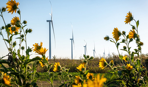 Continue reading about What Does the Horizon of Wind Energy Look Like?