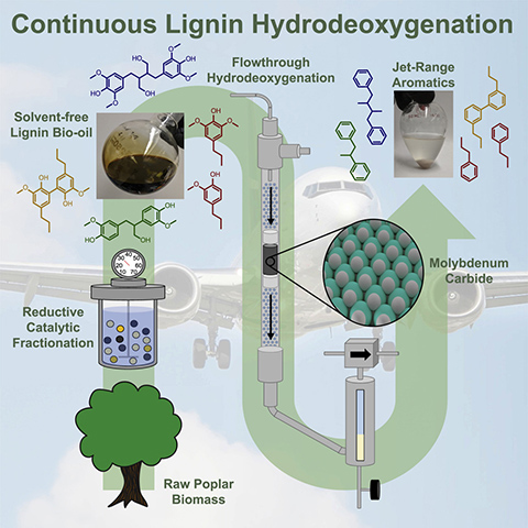 An illustration of the hydrodeoxygenation process.