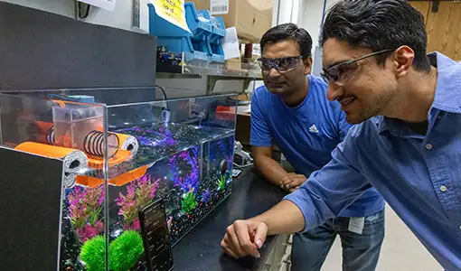 Two men examine a device floating on top of a fish tank.
