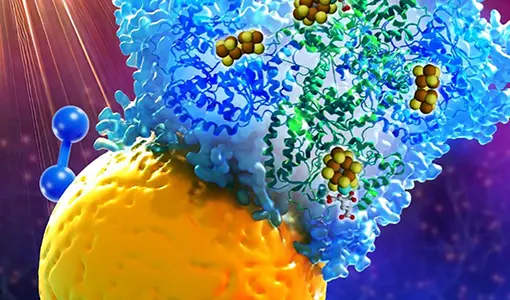 Continue reading about Illustration of a model complex between a CdS quantum dot (yellow sphere) and the molybdenum-iron (MoFe) protein (blue ribbon) of Mo-nitrogenase.