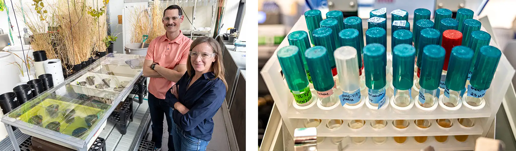 Two people standing near a table where plants grow in individual pots; A collection of glass vials with different colored tops and labels containing liquid.