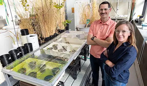 Continue reading about Two people standing near a table where plants grow in individual pots.