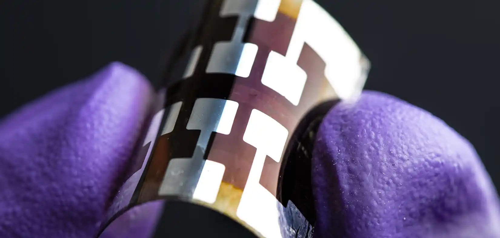 Gloved hand holds a flexible perovskite solar cell.