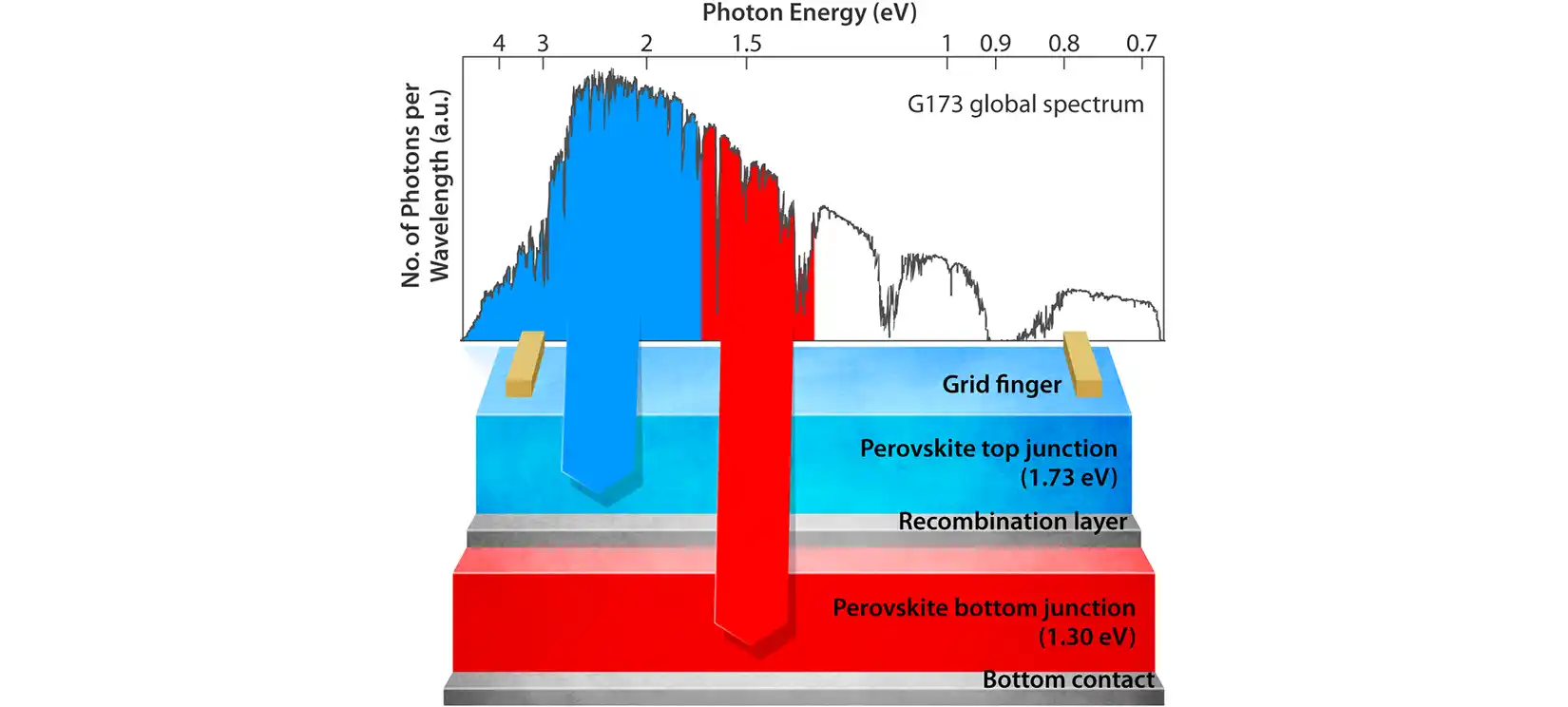 Four stacked layers bottom contact, perovskite bottom junction, recombination layer, and perovskite top junction with a grid finger on top.