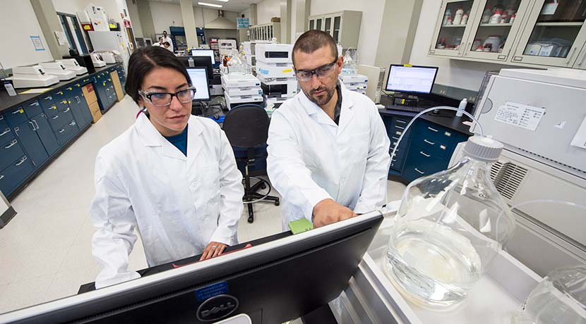 Two researchers working in a bioenergy laboratory