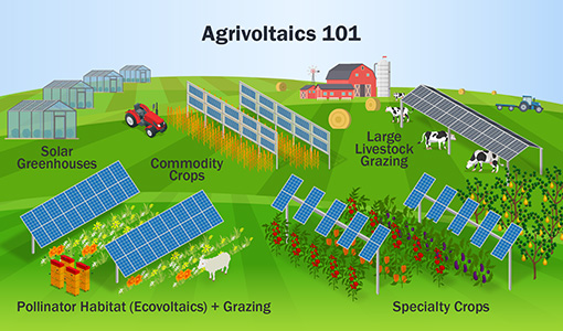 Continue reading about An illustration showing agrivoltaic systems.