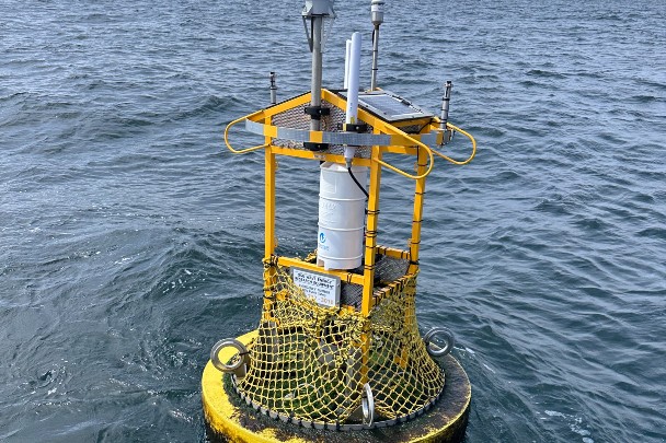 Wave energy converter device sits on buoy in ocean