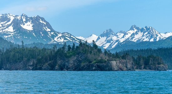Ocean with trees and mountains in the background