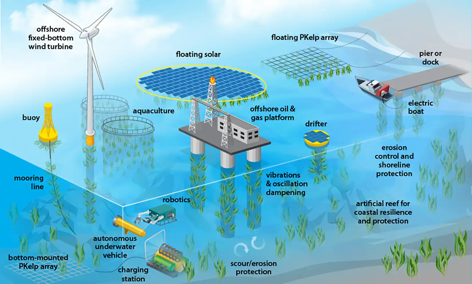 Illustration of potential device configurations and locations where PKelp could be deployed including under offshore fixed-bottom wind turbines, floating solar arrays, offshore oil and gas platforms, buoys, drifters, or pier or docks.