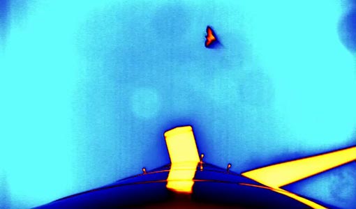 Continue reading about A colored silhouette of a bat in flight in the sky next to the colored shape of a wind turbine as viewed from the base of the tower.